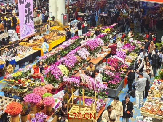 “云花”寄春来 “颜值”变“产值”