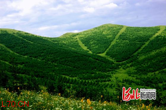 冀北山地华北落叶松人工林结构化经营技术全面推广