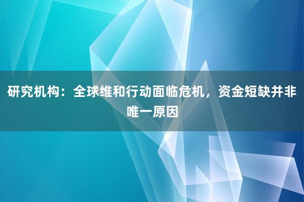 研究机构：全球维和行动面临危机，资金短缺并非唯一原因
