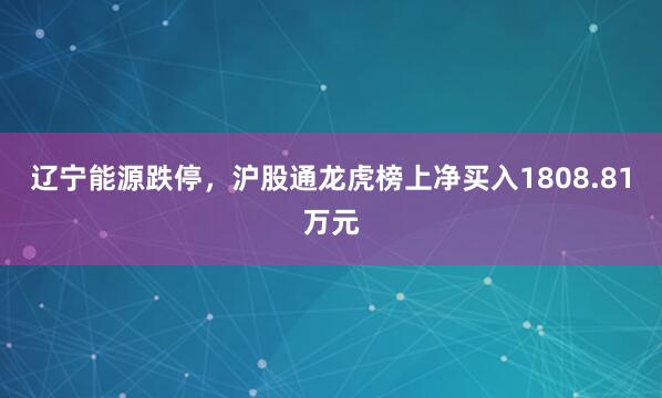 辽宁能源跌停，沪股通龙虎榜上净买入1808.81万元