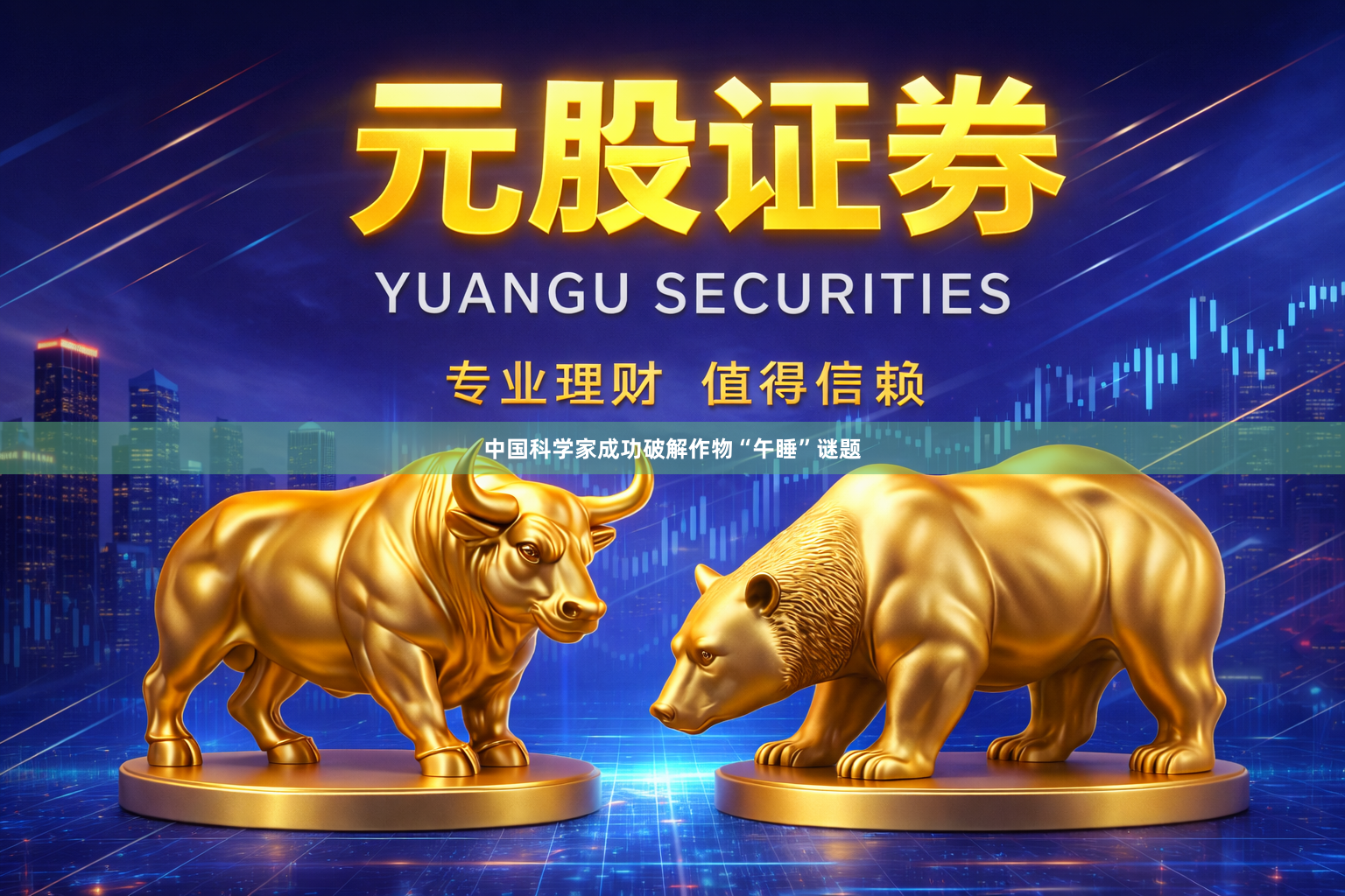 中国科学家成功破解作物“午睡”谜题