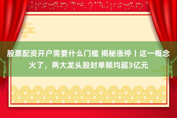 股票配资开户需要什么门槛 揭秘涨停丨这一概念火了，两大龙头股封单额均超3亿元