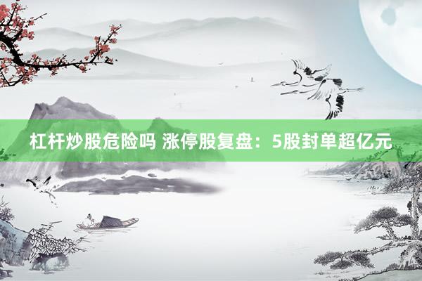 杠杆炒股危险吗 涨停股复盘：5股封单超亿元