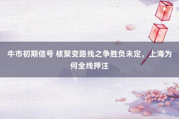 牛市初期信号 核聚变路线之争胜负未定，上海为何全线押注